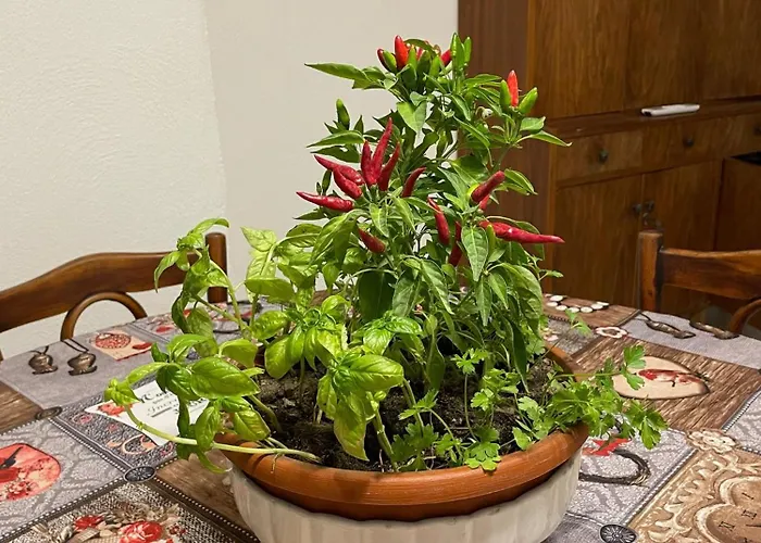 度假居 A Piedi Scalzi Sullo Stretto 2