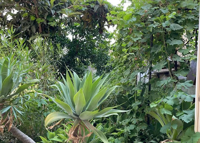 A Piedi Scalzi Sullo Stretto 2 度假居 *