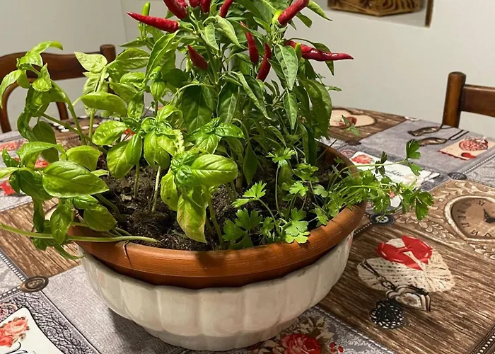 A Piedi Scalzi Sullo Stretto 2 *