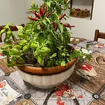 A Piedi Scalzi Sullo Stretto 2 *