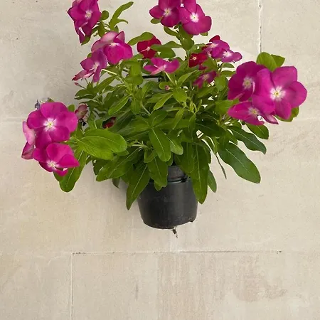 A Piedi Scalzi Sullo Stretto 2