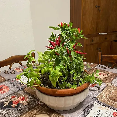 Ferienhaus A Piedi Scalzi Sullo Stretto 2