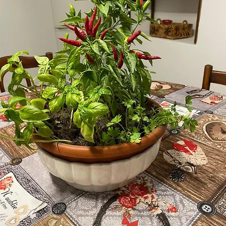 A Piedi Scalzi Sullo Stretto 2 *