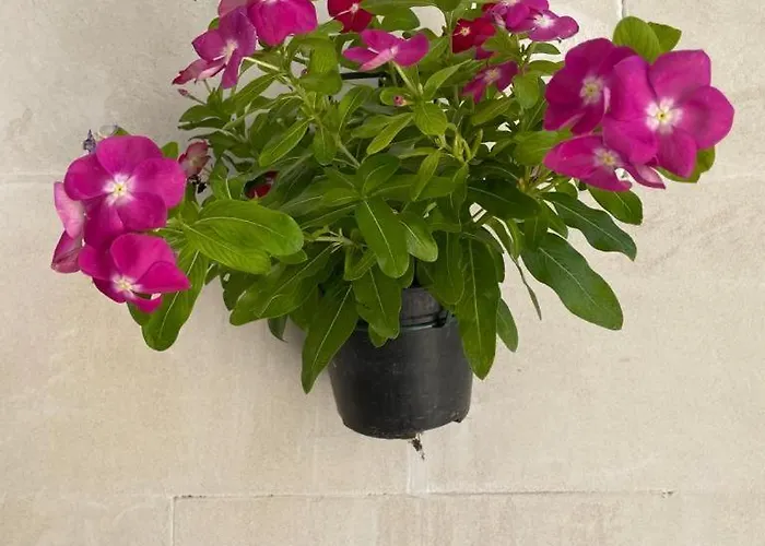 A Piedi Scalzi Sullo Stretto 2